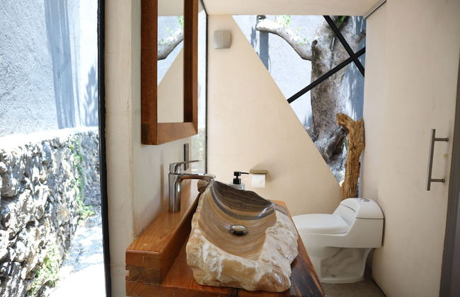 Bosque Geométrico - Foto 50