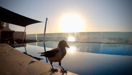 Incognito Beach Villa Santorini - Foto 3