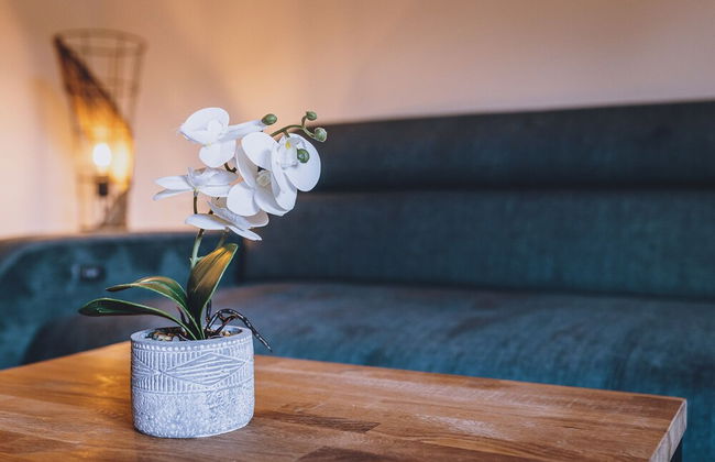 Premium Apartments Areit by we rent - Foto 35