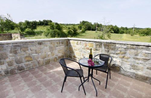 Vila Vesna - Foto 50