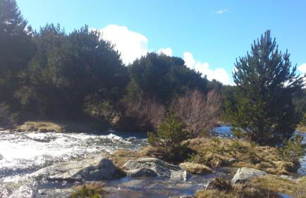 El Huerto de Pipo - Foto 16