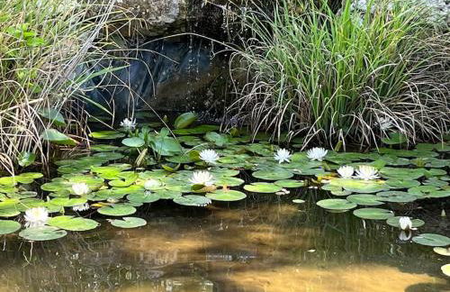 Maison en pleine nature -Domaine des mille pierres - Foto 28