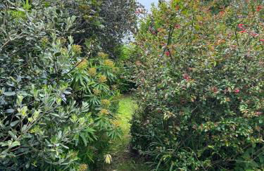 Kynance Cottage - Pendour - Foto 46