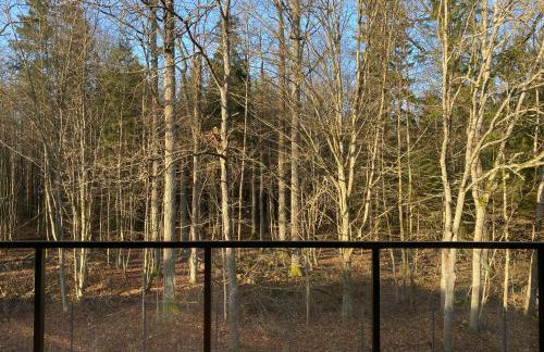 Apartament Nieznany Bór - Foto 20