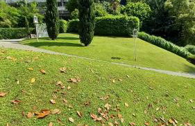 Una magnolia in Cademartori - Foto 28