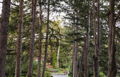 Private 37 Acre Lake Estate On 164 Acres - 11 Br - Foto 35