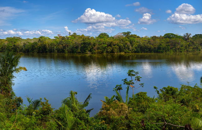 Puerto Maldonado 3 Day Tour - Photo 5