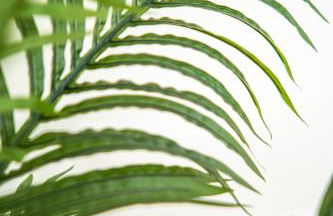 Viroga Suite Apartments - Foto 72