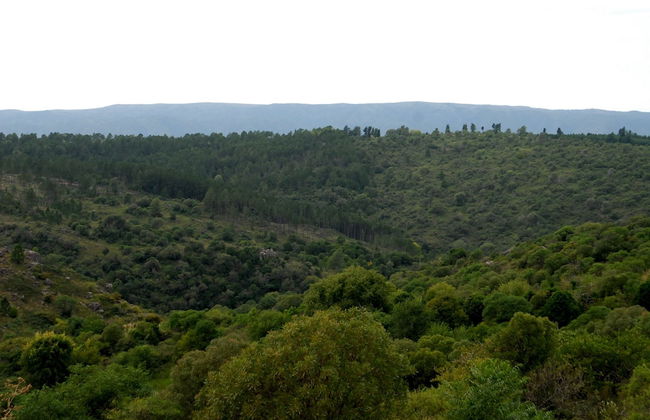 Cabañas Puerto Luna - Photo 51