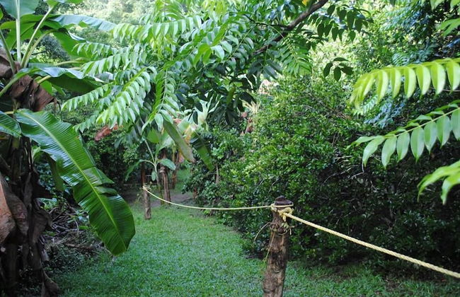 Adventure Eco Villas - Foto 28