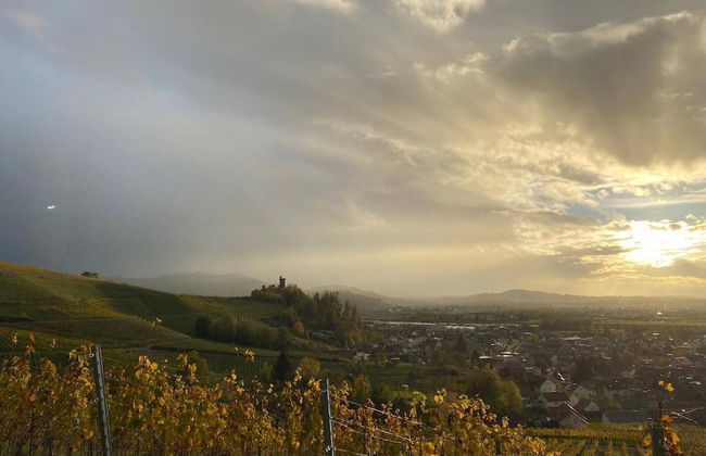 Graceland In the Black Forest - Foto 86