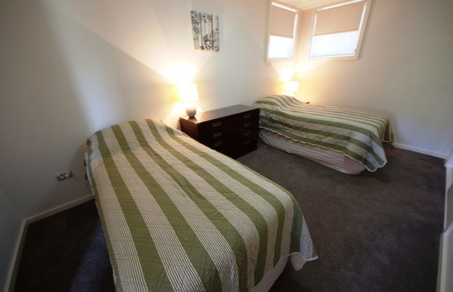 Geckos at South West Rocks - Photo 2