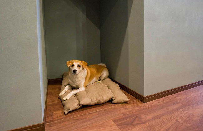 Rakuten STAY VILLA Nasu - Foto 3