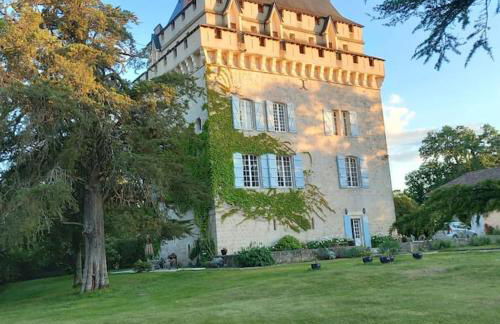 Château Tour du XIII siècle Gazaupouy - Photo 1