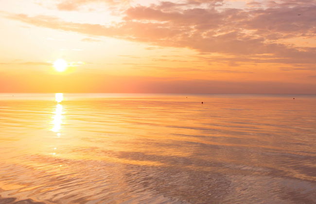 Paseo en barco al atardecer - Foto 1