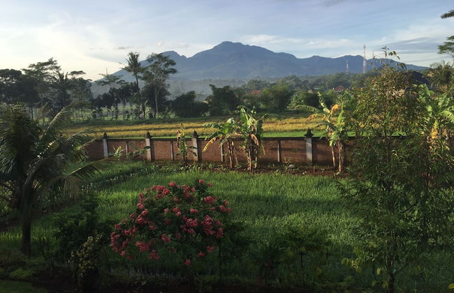 Joglo Java - Foto 23