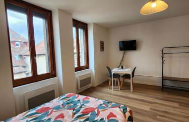 Pontarlier Centre Historique 2nd - Ma Petite Résa - Foto 6