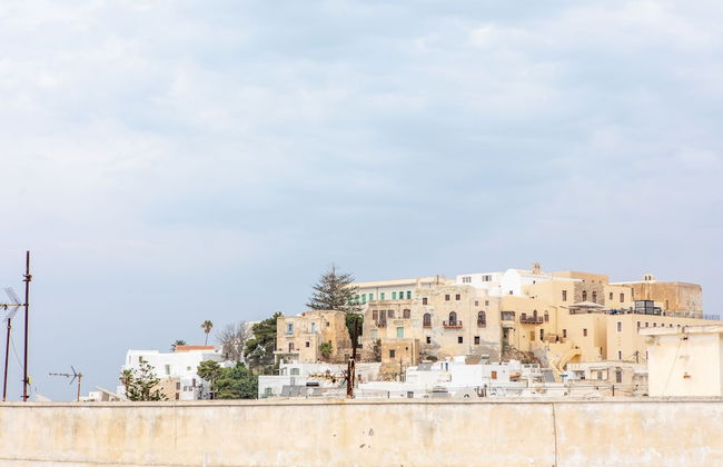 Gatis House - Photo 59