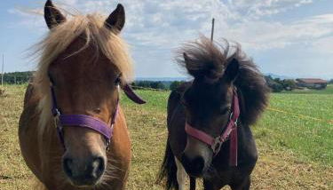 Plattenberger Hof - Photo 5