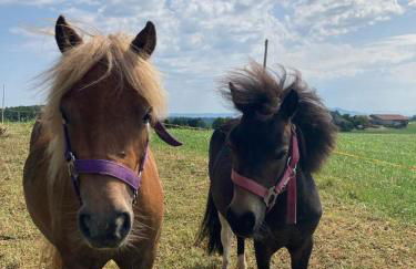 Plattenberger Hof - Photo 5