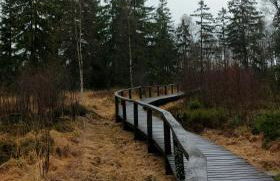 Fewo Silberborn - Weserbergland (Fam. Oehler) - Foto 24