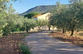 Casa Rural Cal Martí - Foto 28