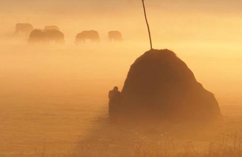 KTA TARPAN Mały Domek - Foto 11