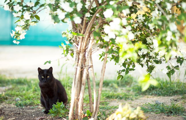 Poggiolivi Agriturismo Bio in Maremma - Photo 53
