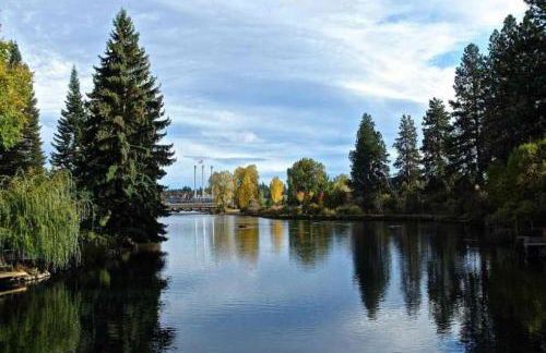 Bluebird Day - Lakewood Cottage - Foto 34