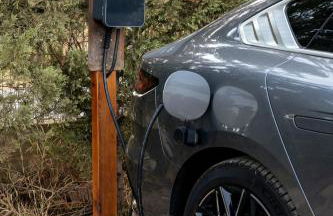 Alfarrobeiras NATURE - Photo 38