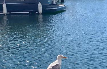 Eastbourne Long Beach View, Sovereign Harbour Apartment, Exceptional - Foto 52