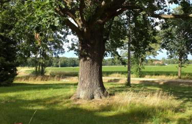 FeWo Wolfseiche - Foto 14