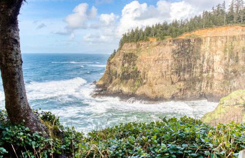 Oceanside Overlook - Foto 32