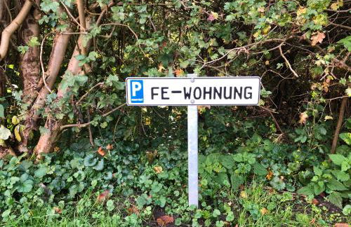 Moderne großzügige Souterrainwohnung Zarrentin Gallin Schaalsee Natur Wald Wasser - Foto 8