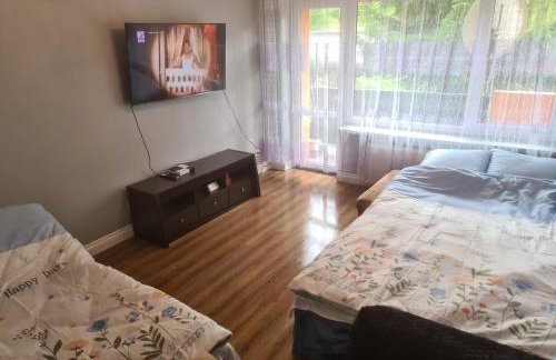 Apartament Mieszkanie do wynajęcia Olivka - Foto 8