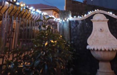 La Pigna dell'Etna - Foto 44