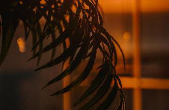 One&Only Melissa - Foto 9