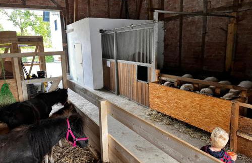 Conzen Hof am Hennesee - Foto 7