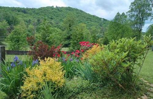 Hot Tub and Fire Pit Pet-Friendly Clayton Escape! - Foto 42