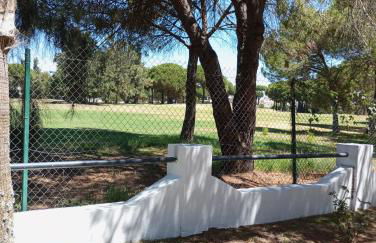 Cigüeñas - Foto 70