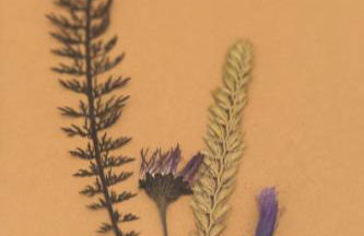 Irie - baskeyrentals - Foto 28