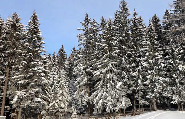 Schönhart - Foto 19