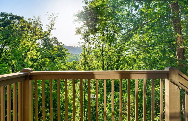 Hummingbird Hill Vista- Pool HotTub View - Foto 73