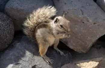 Residencial Esquinzo 2 - Foto 20