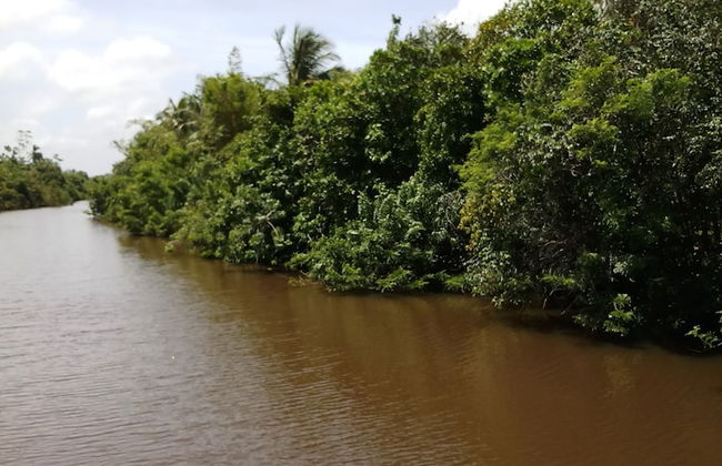 Villa River Paradise - Photo 16