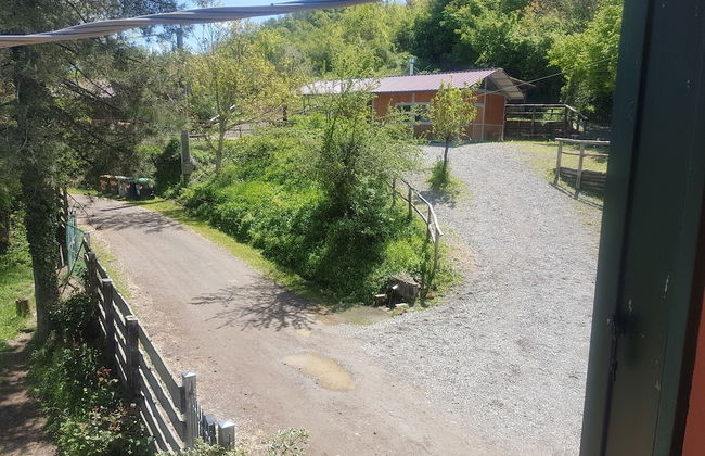 Agriturismo Piccola Raieda - Photo 71