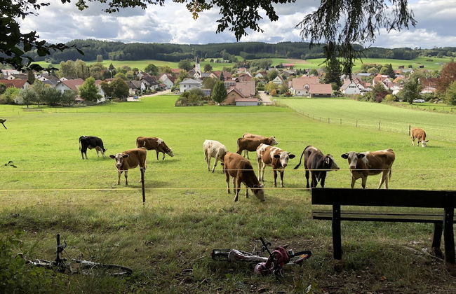 Ferienwohnung Toja - Foto 28