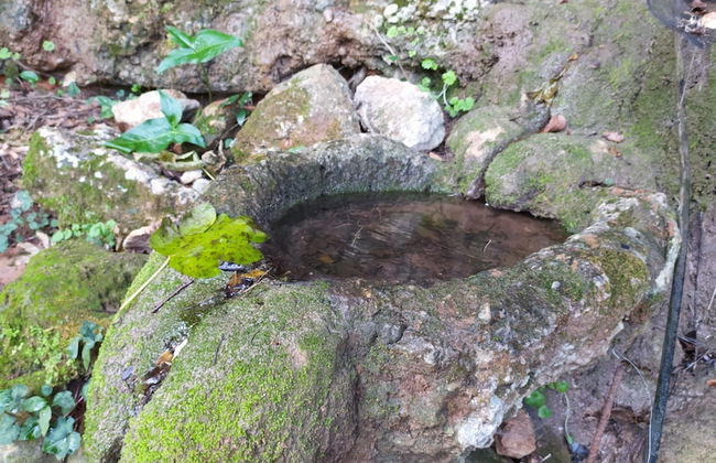 Villa Kastania - Foto 45