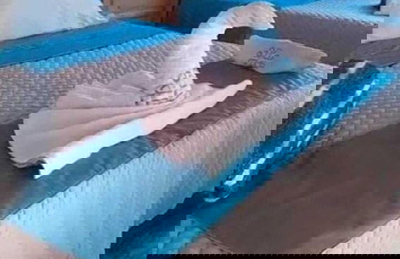 Willka Eco Farm - Photo 5