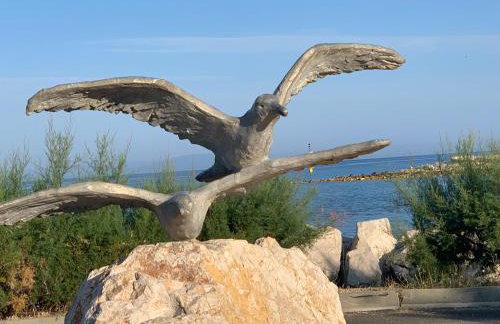 Apartments Albatross - Photo 41